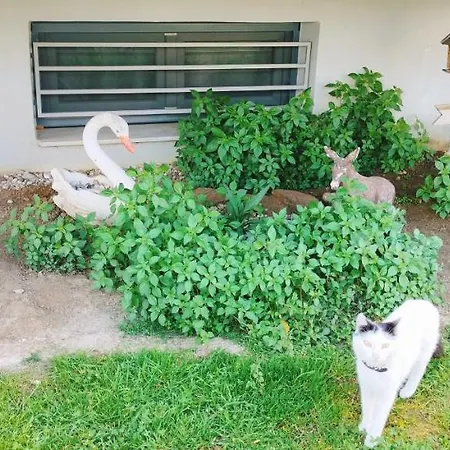 شقة Andromache's Cozy Close To Meteora - Tríkala